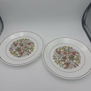 set of 2 VTG Corelle Livingware Indian Summer Salad/ Luncheon Plates 8.5”